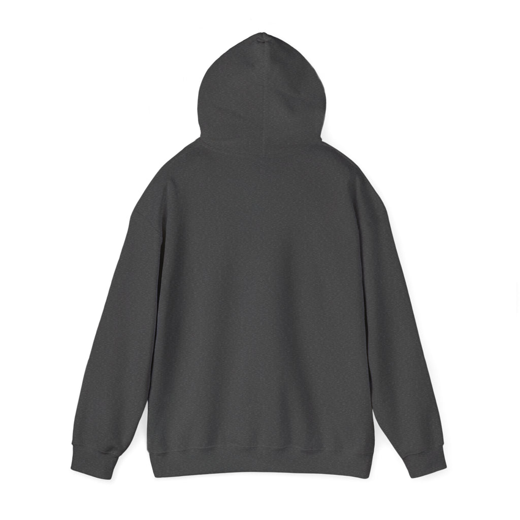 Car Lifestyle Hoodie - "Not Just a Car, It's a Lifestyle" Sweatshirt