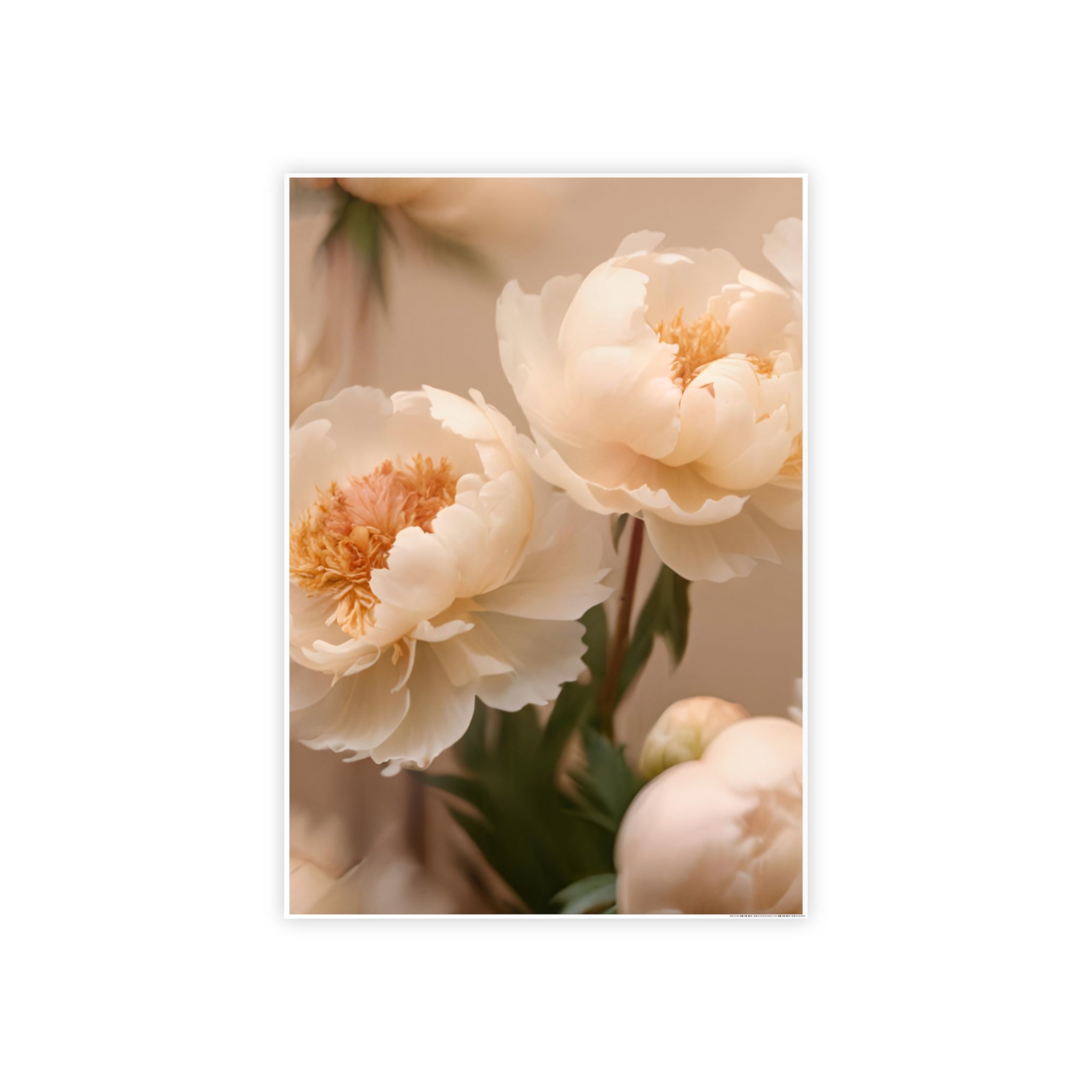 Peach Peony Print Poster