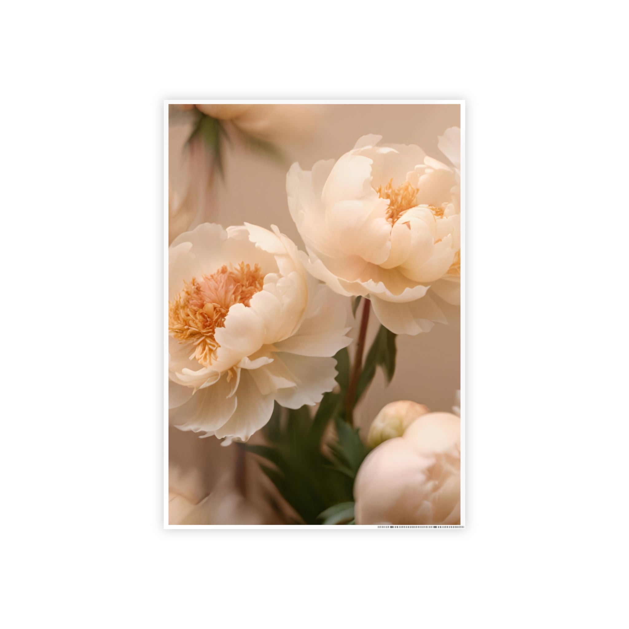 Peach Peony Print Poster