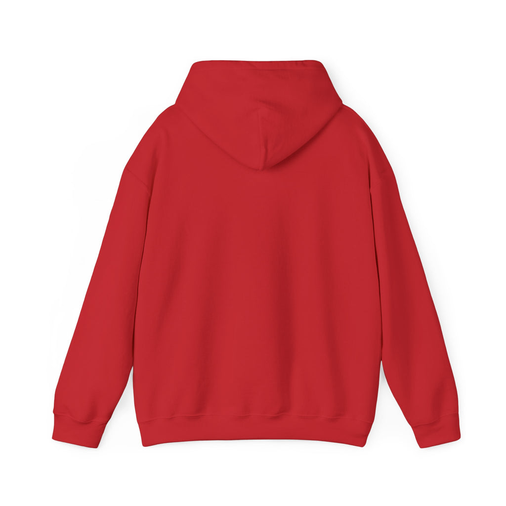 Car Lifestyle Hoodie - "Not Just a Car, It's a Lifestyle" Sweatshirt