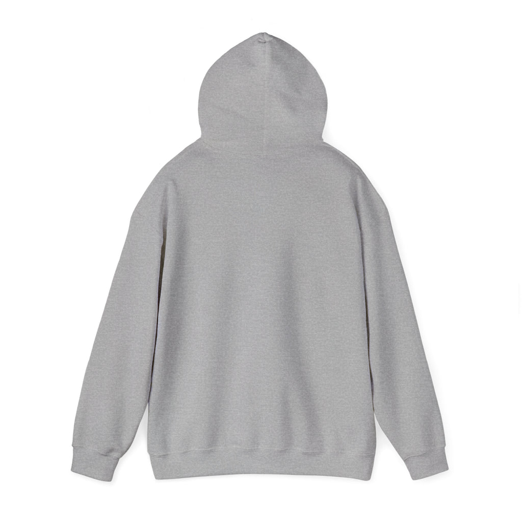 Car Lifestyle Hoodie - "Not Just a Car, It's a Lifestyle" Sweatshirt